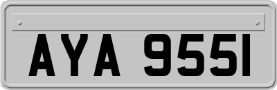 AYA9551