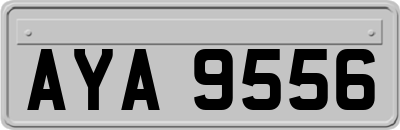 AYA9556