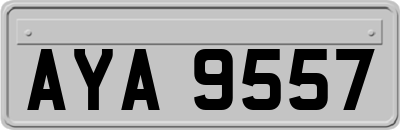 AYA9557