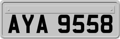 AYA9558