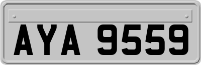 AYA9559