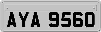 AYA9560