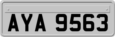 AYA9563