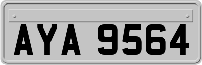 AYA9564