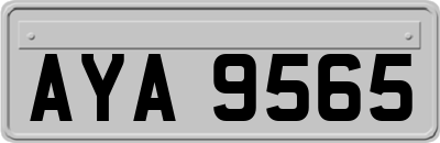 AYA9565