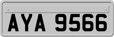 AYA9566