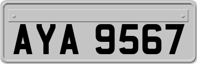 AYA9567