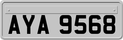 AYA9568