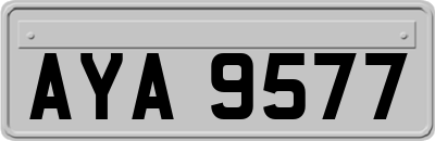 AYA9577