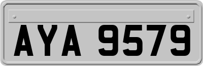 AYA9579
