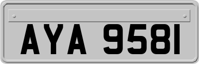AYA9581