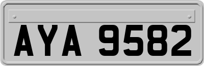 AYA9582