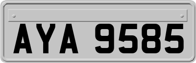AYA9585