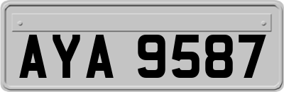 AYA9587