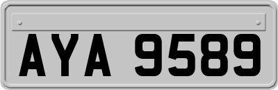 AYA9589