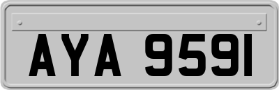 AYA9591