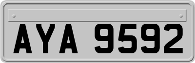 AYA9592