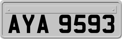 AYA9593