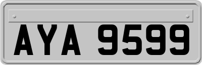 AYA9599