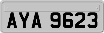AYA9623