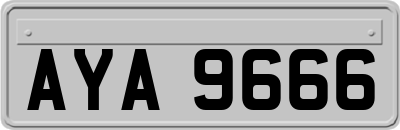 AYA9666