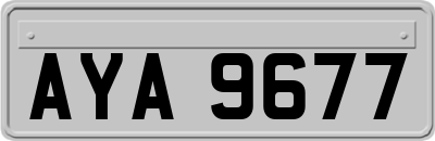AYA9677