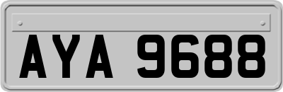 AYA9688
