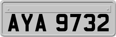 AYA9732
