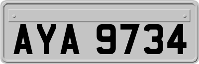 AYA9734