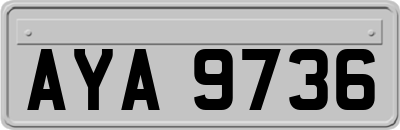 AYA9736