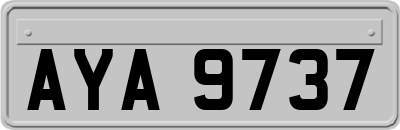 AYA9737