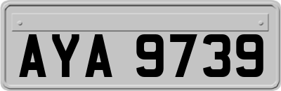 AYA9739