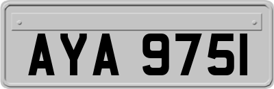 AYA9751