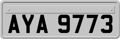 AYA9773