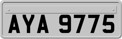 AYA9775