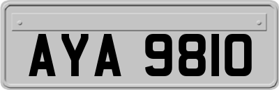 AYA9810