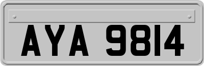 AYA9814