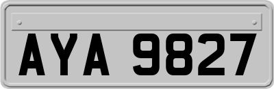AYA9827