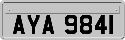 AYA9841