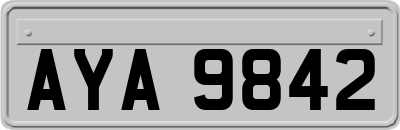 AYA9842