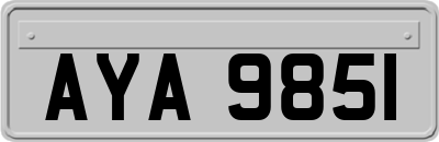 AYA9851