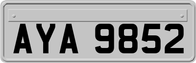 AYA9852