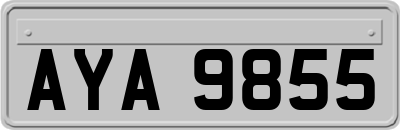 AYA9855