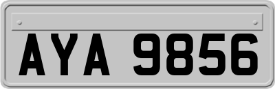 AYA9856