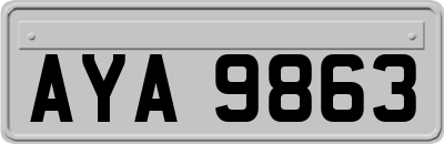 AYA9863