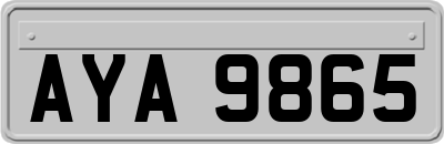 AYA9865