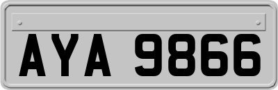 AYA9866
