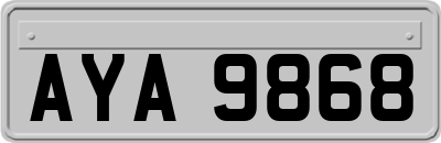 AYA9868