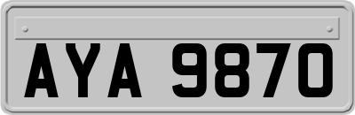 AYA9870