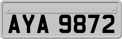 AYA9872